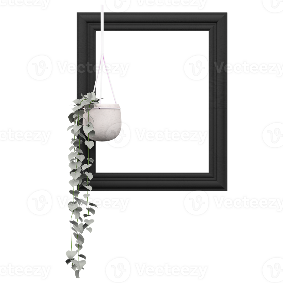 Wall photo frame with hanging plant and flower on concrete wall canvas png