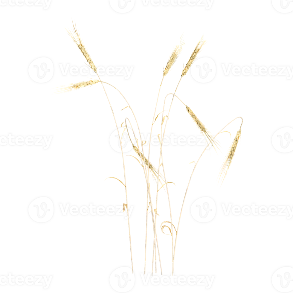 collection of Wild Field Grass with realistic style png