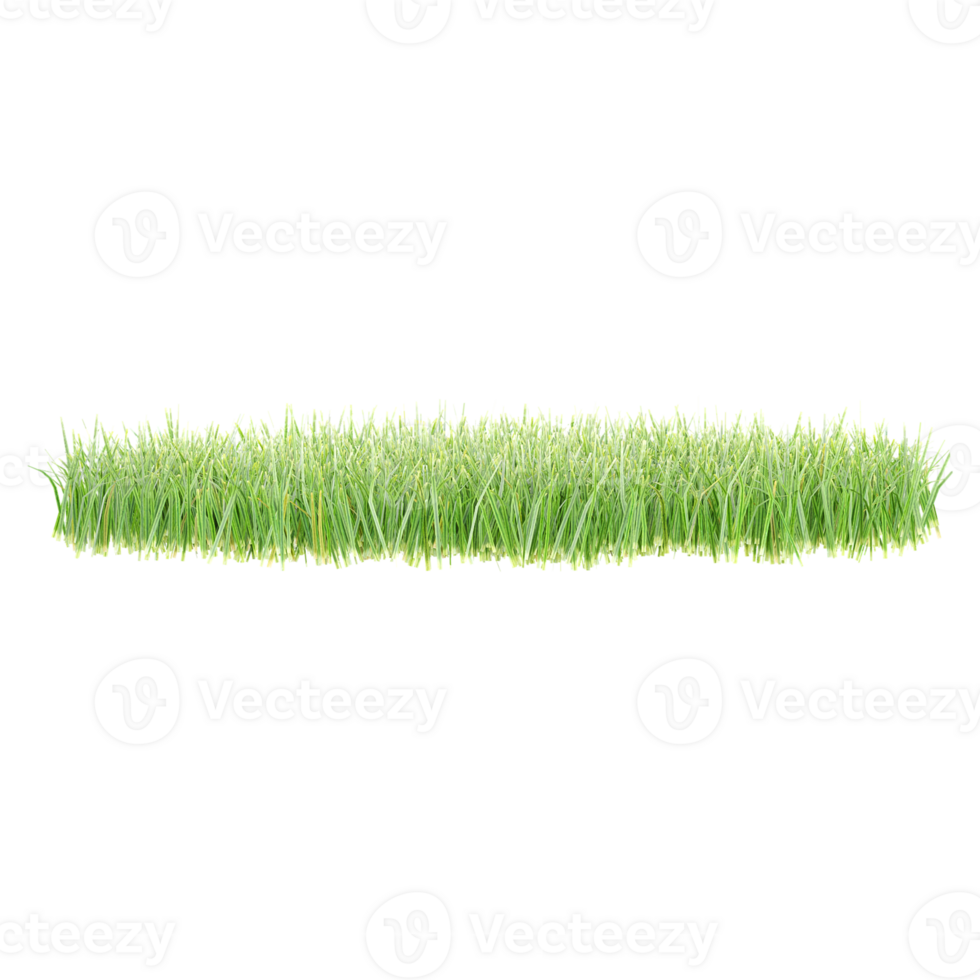 3d rendering of green grass on Transparent Canvas png