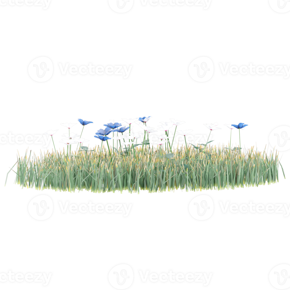 Cattail grass on Transparent Canvas png