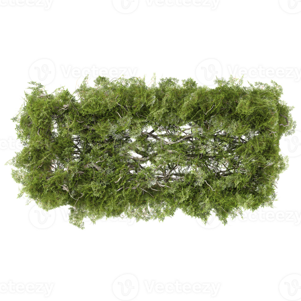 collection of green moss is laying with realistic style from top view png