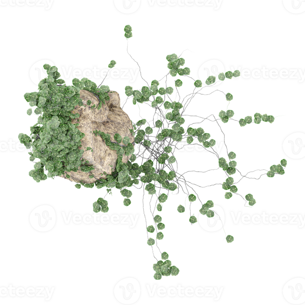 Collection of stone with leaves and grass on transparent camvas from the top view png