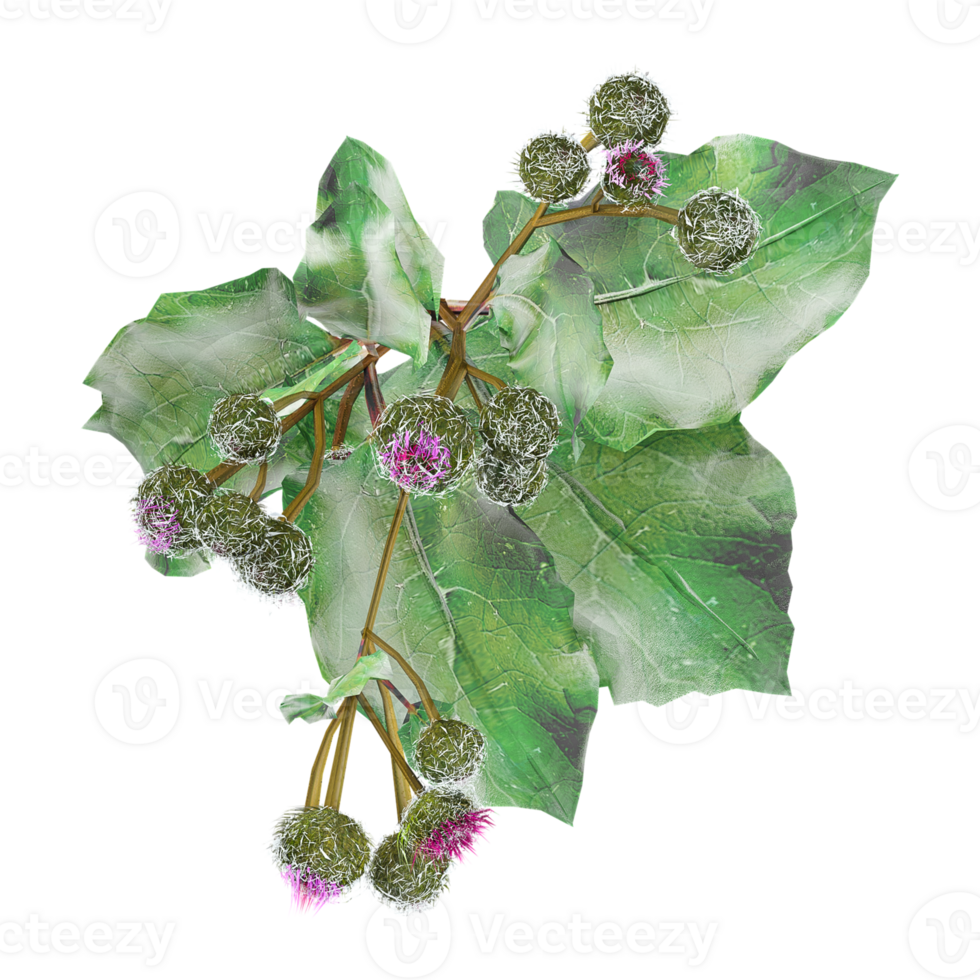 3d illustration of Burdock plants and grass isolated on transparent canvas from top view png