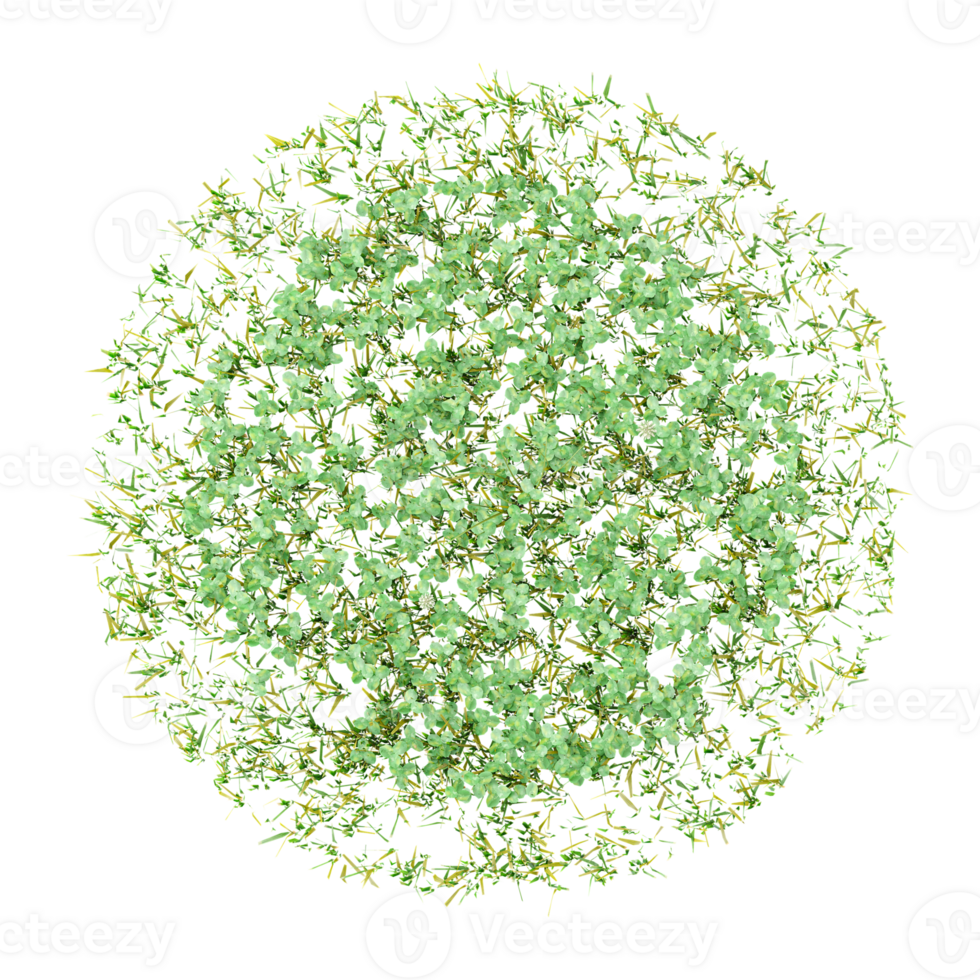 3d illustration of Artemisia vulgaris isolated on transparent Canvas from the top view png