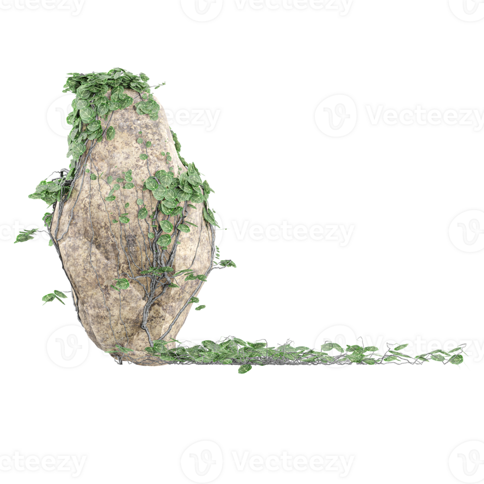 Collection of stone with leaves and grass on transparent camvas png