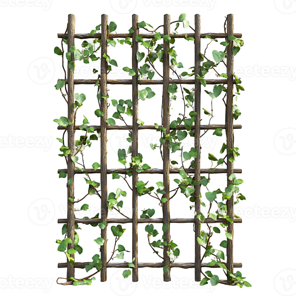 Wooden Lattice Covered with Ivy png