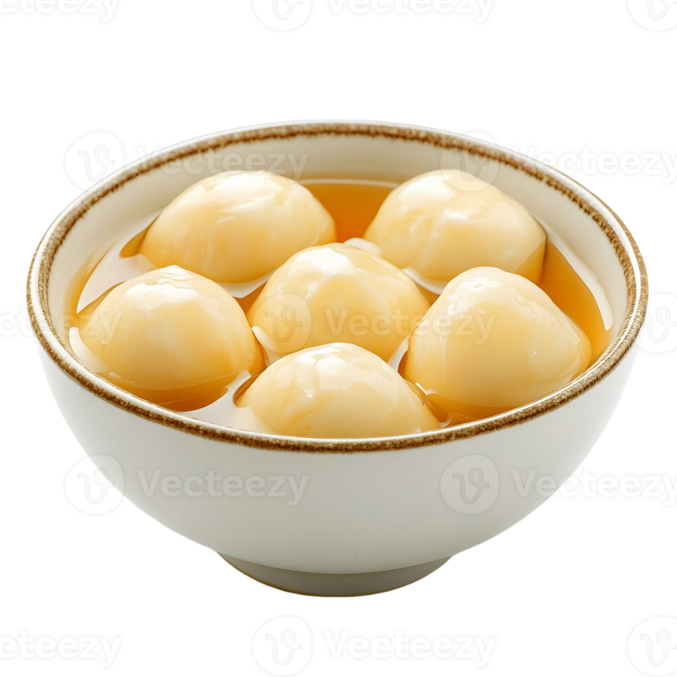 Syrupy and Spongy Rasgulla Delights png
