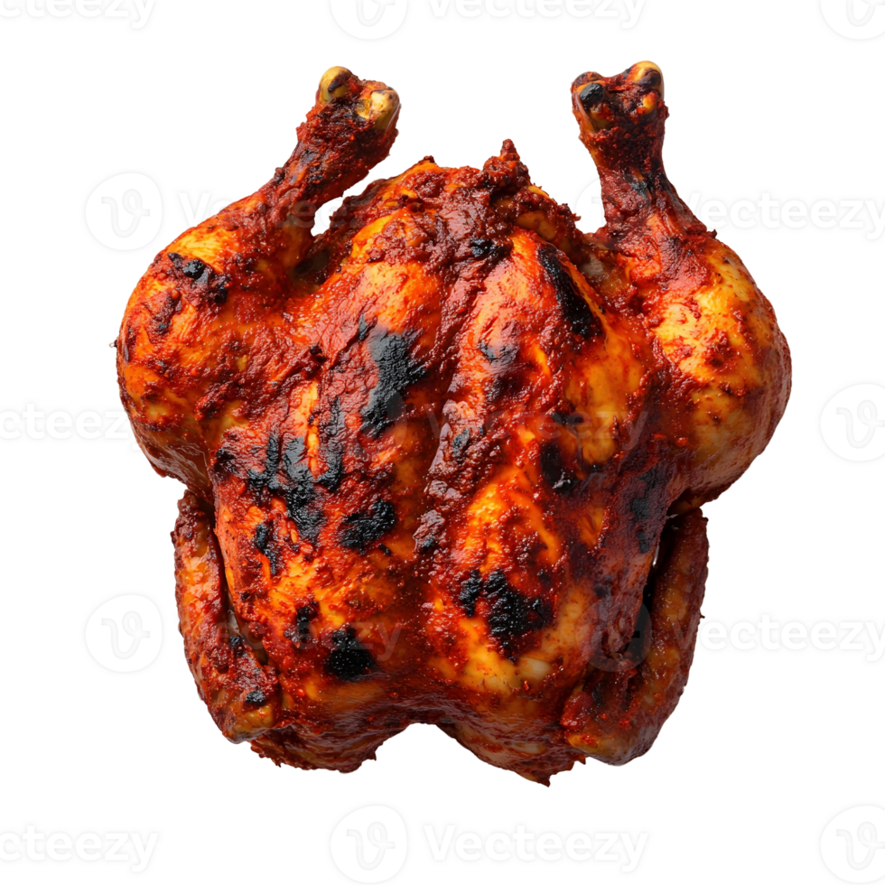 Grilled and Charred Indian Tandoori Chicken png