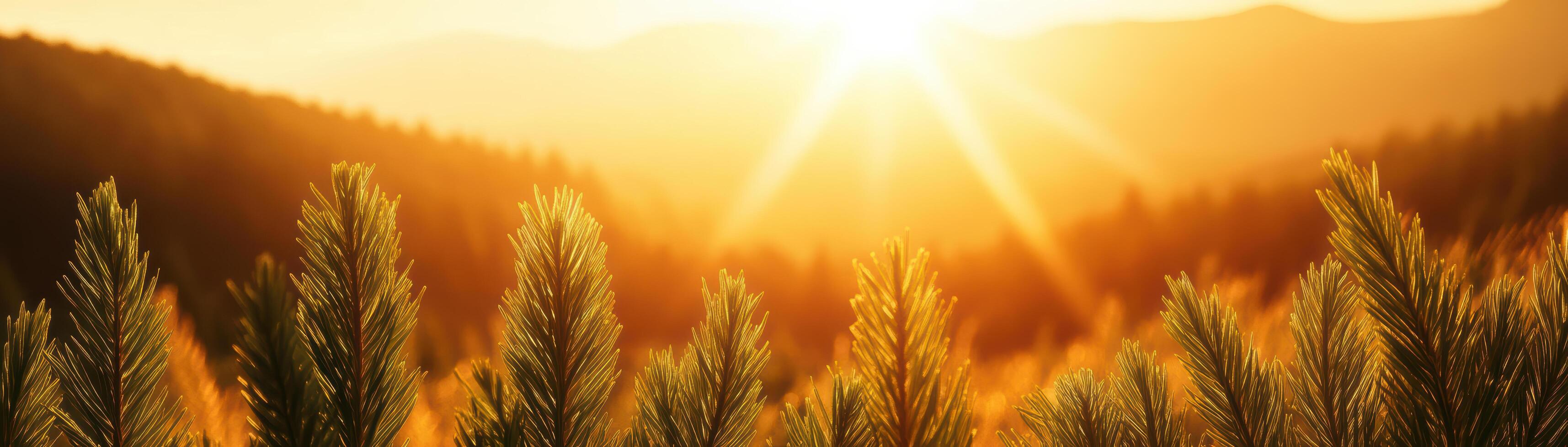 A beautiful mountain landscape with a bright sun shining through the trees photo