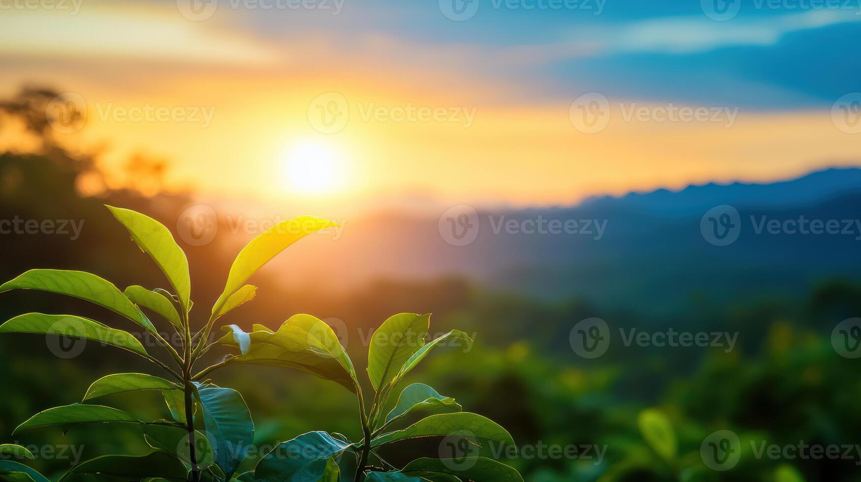 A leafy green plant is in front of a beautiful mountain range with a bright sun photo