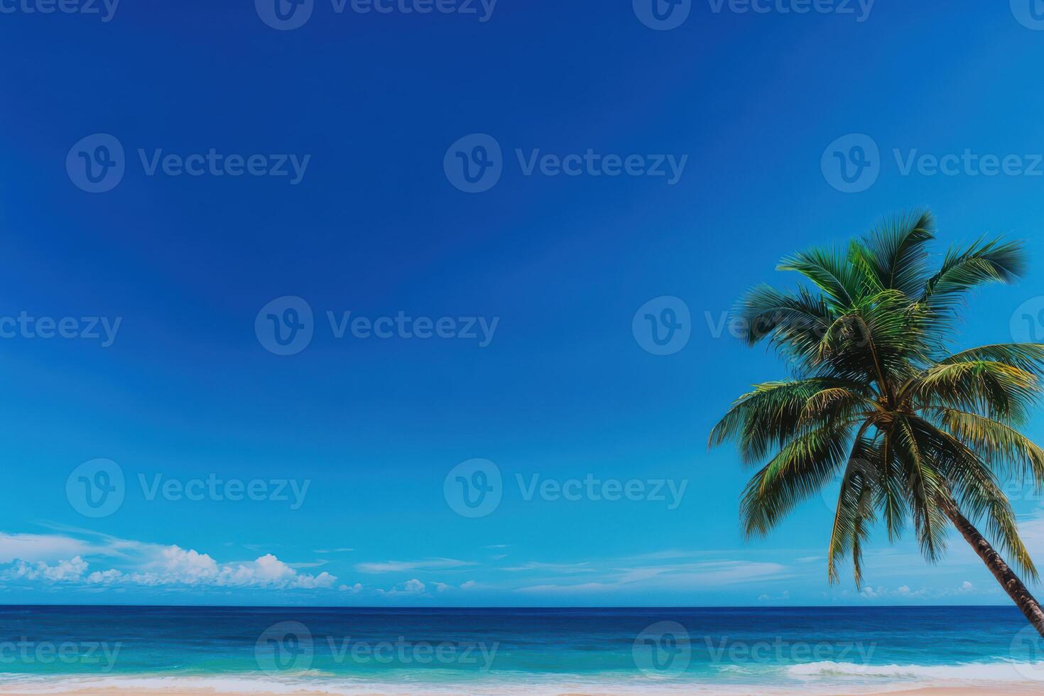 A palm tree is standing on a beach with a clear blue sky photo