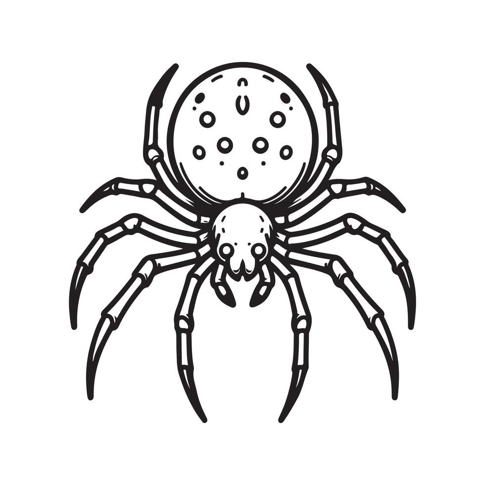 Spider Line Art Vectors for Horror Films, Web Designs, and Digital Projects