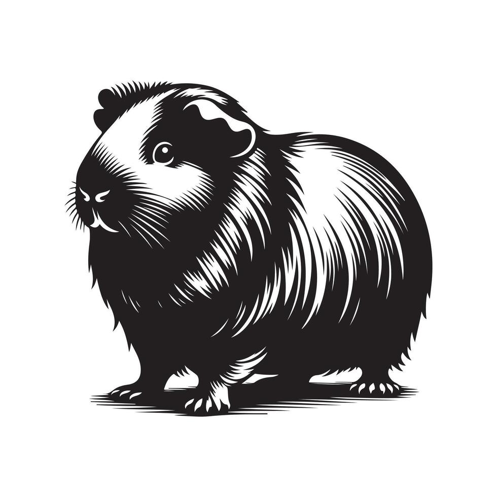 Guinea Pig Silhouette Vectors for Animal and Pet Services