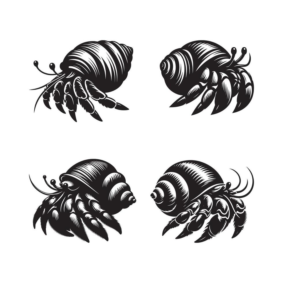 Stylish Crab Hermit Silhouette Vectors for Summer and Tropical Themes