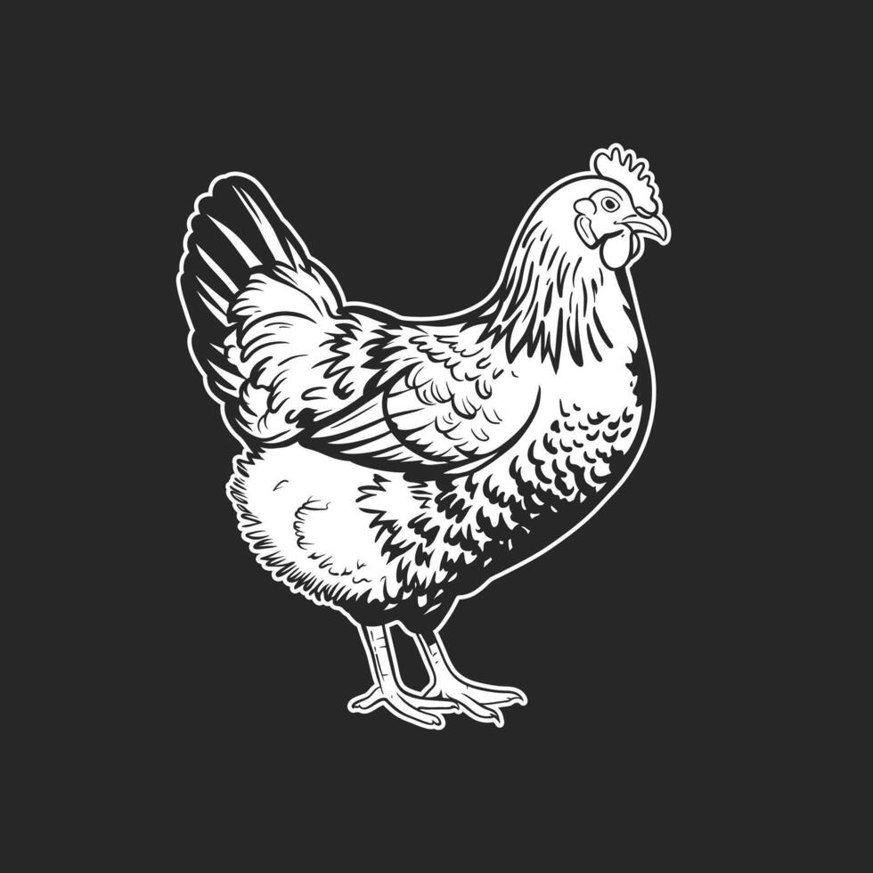 Realistic Chicken Artwork in Monochrome vector