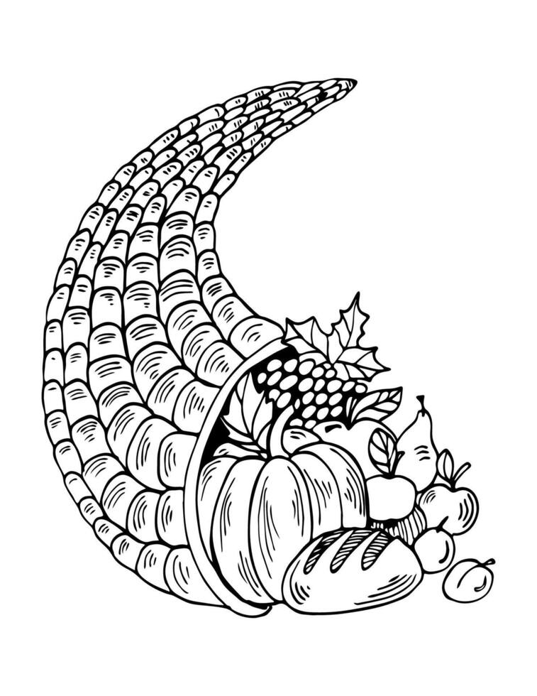 Cornucopia with fruit and vegetables line art. Thanksgiving day symbol. Black outline witchcrafts illustration. vector