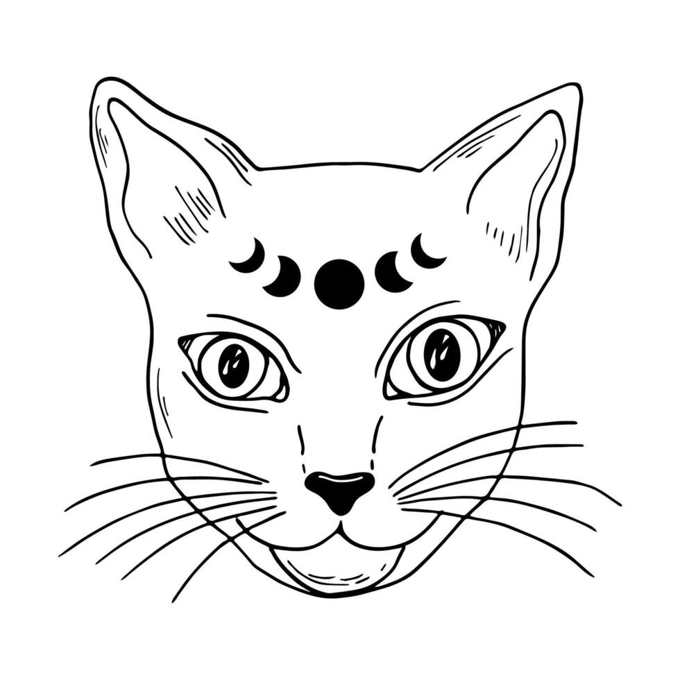 Witch cat with moon phases. Witchcraft line art illustration. Modern witchcraft illustration. vector