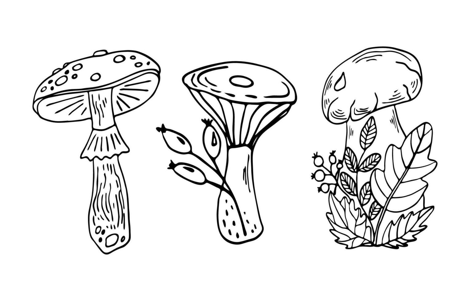 Black outline mushrooms set botanical line art illustration. Hand drawing forest plants art. vector