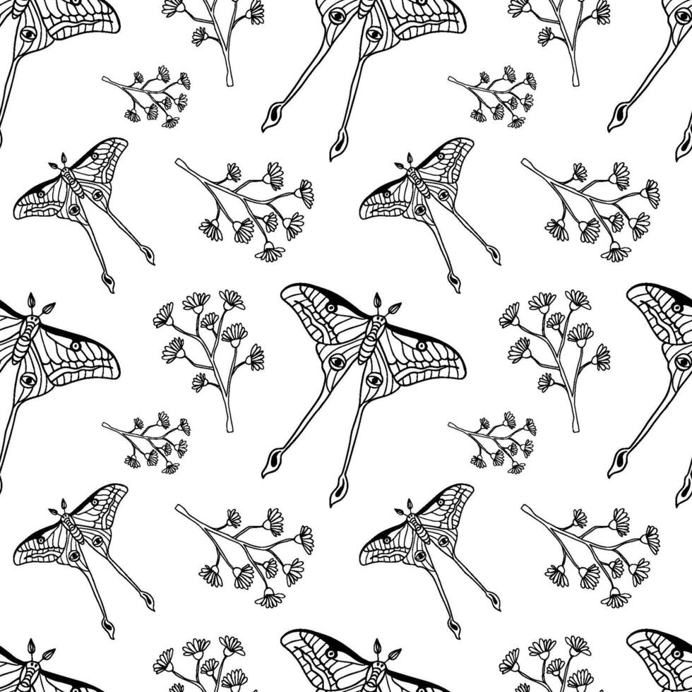 Moth and floral seamless pattern. Modern witchcrafts black outline illustration. vector