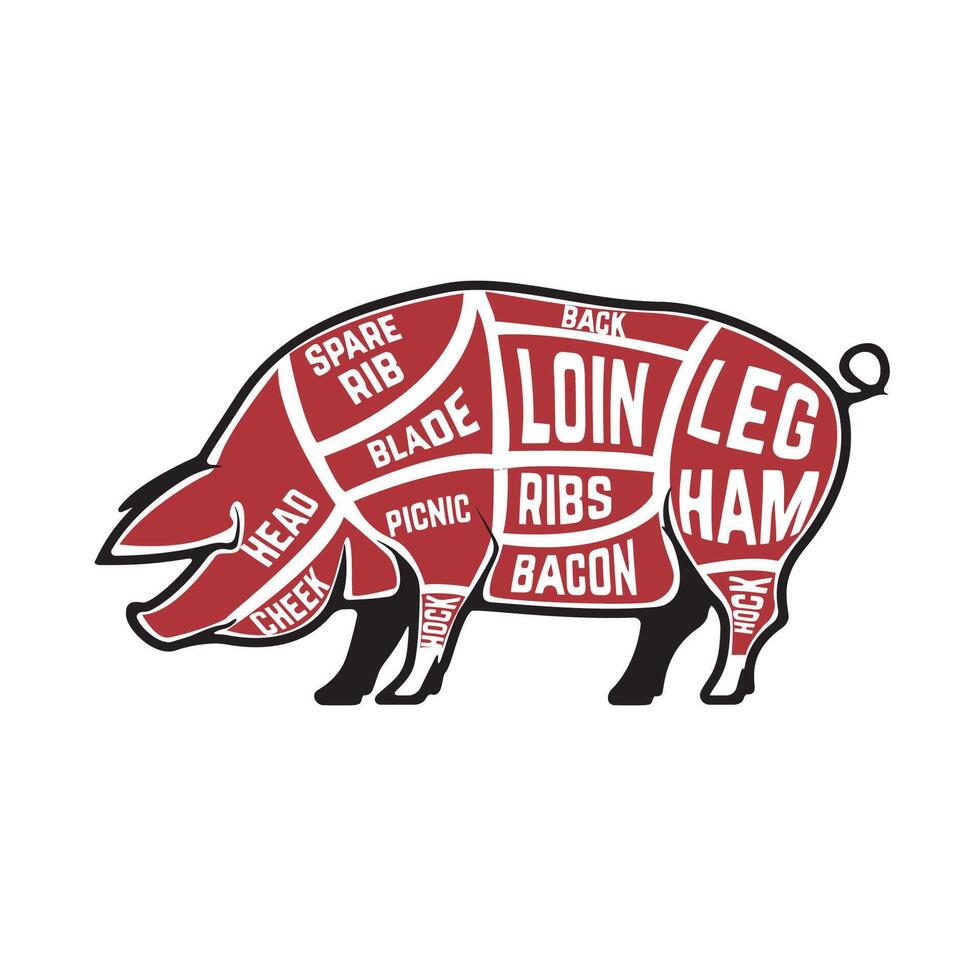 Butcher diagram, scheme and guide - Pork cuts. Pig silhouettes isolated on white background vector