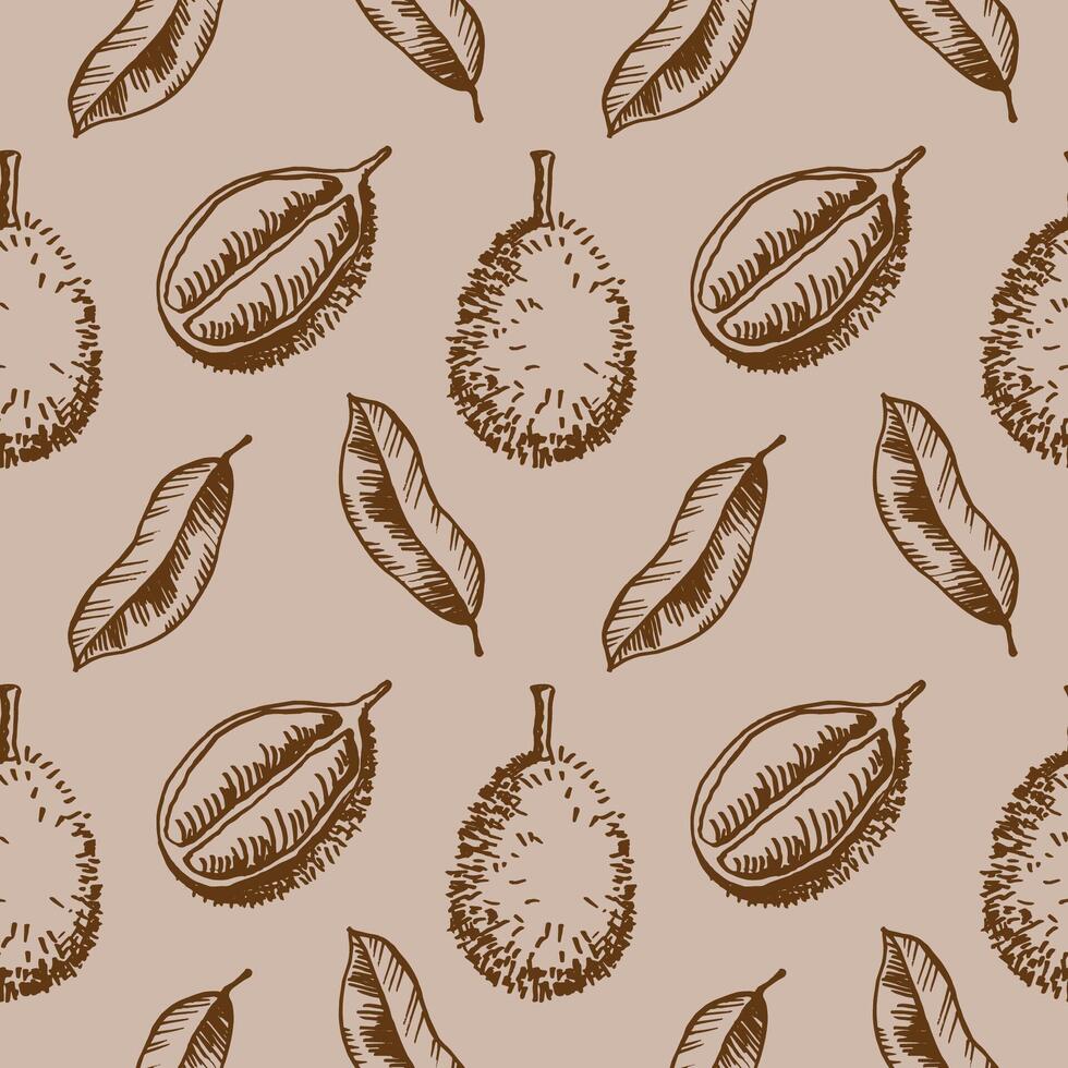 Seamless pattern with durian fruit and leaf. Hand drawn repeating background with tropical berry with prickly shell native to Malaysia. Design for textile, print, wrapping, label, paper vector