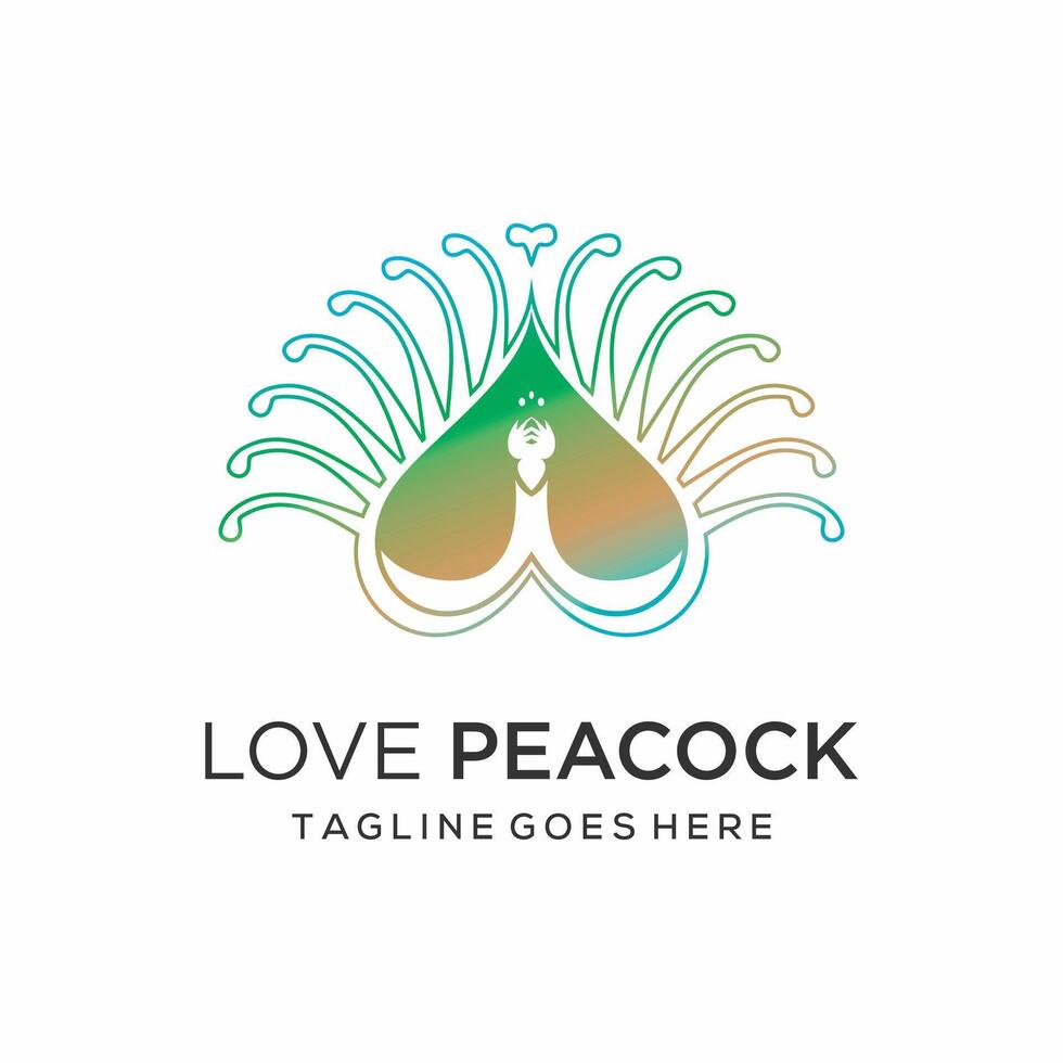 love and peacock with colorful line art. design template vector