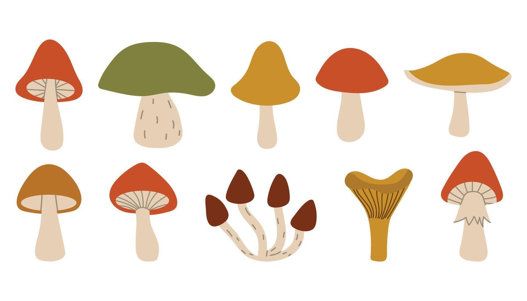 Cute cartoon autumn mushrooms collection. Fall forest mushrooms harvest in simple flat style. vector