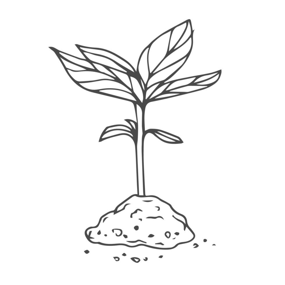Sprout in sketch Garden seedlings, illustration. vector