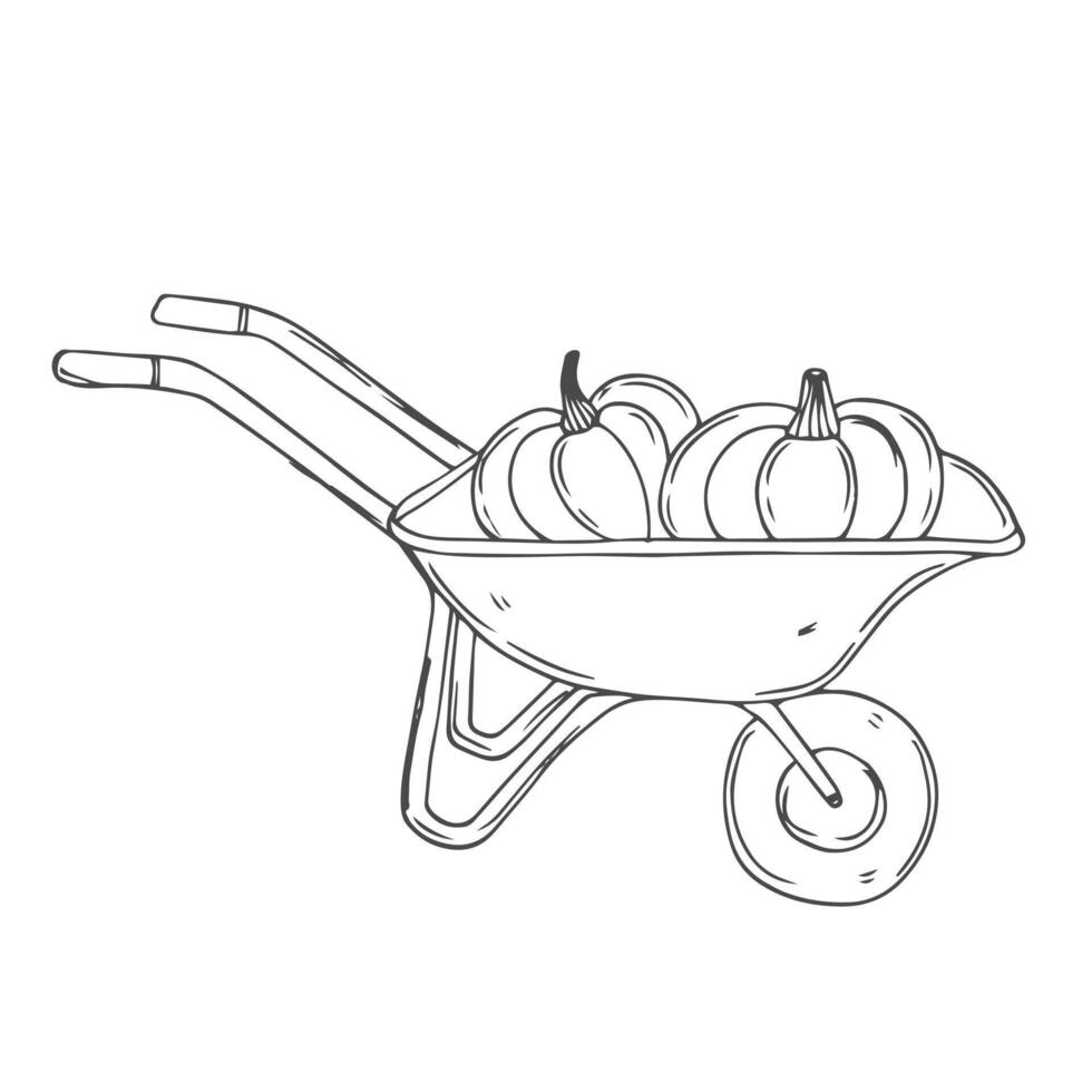 Garden cart with pumpkin and apples. Harvesting. Black white outline illustration, isolated on white background. Wheelbarrow with pumpkins vector