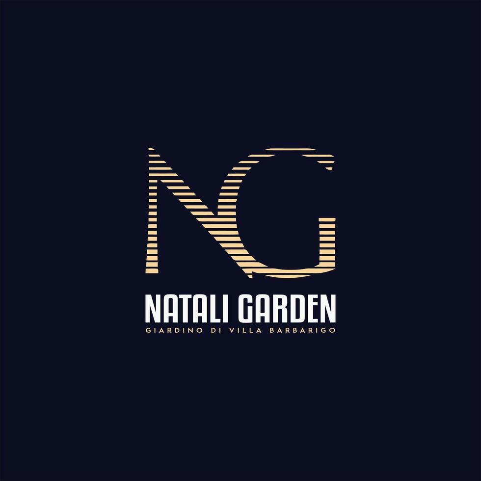 NG Group NG Enterprises vector