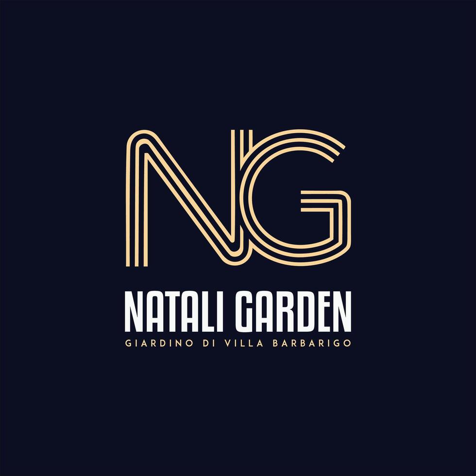 the logo for NG Initials vector