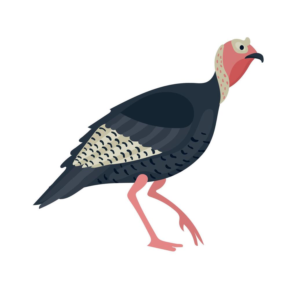 Wild turkey icon clipart avatar logotype isolated illustration vector