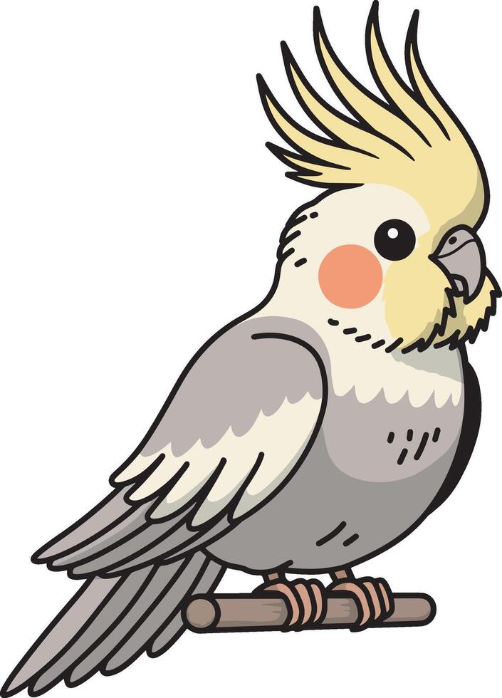Cute and colorful cockatiel cartoon illustration vector