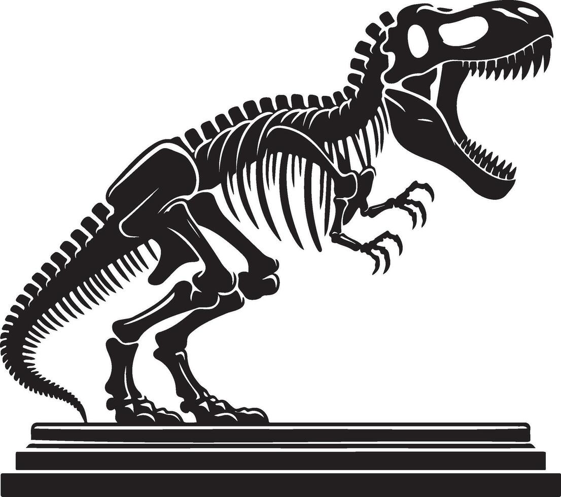 Dinosaur Tyrannosaurus Rex Bones in Museum. vector