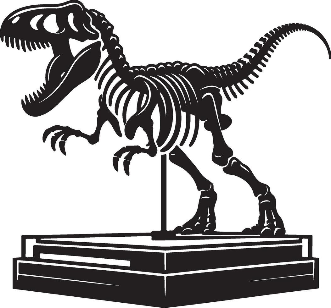 Dinosaur Velociraptor Bones in Museum. vector