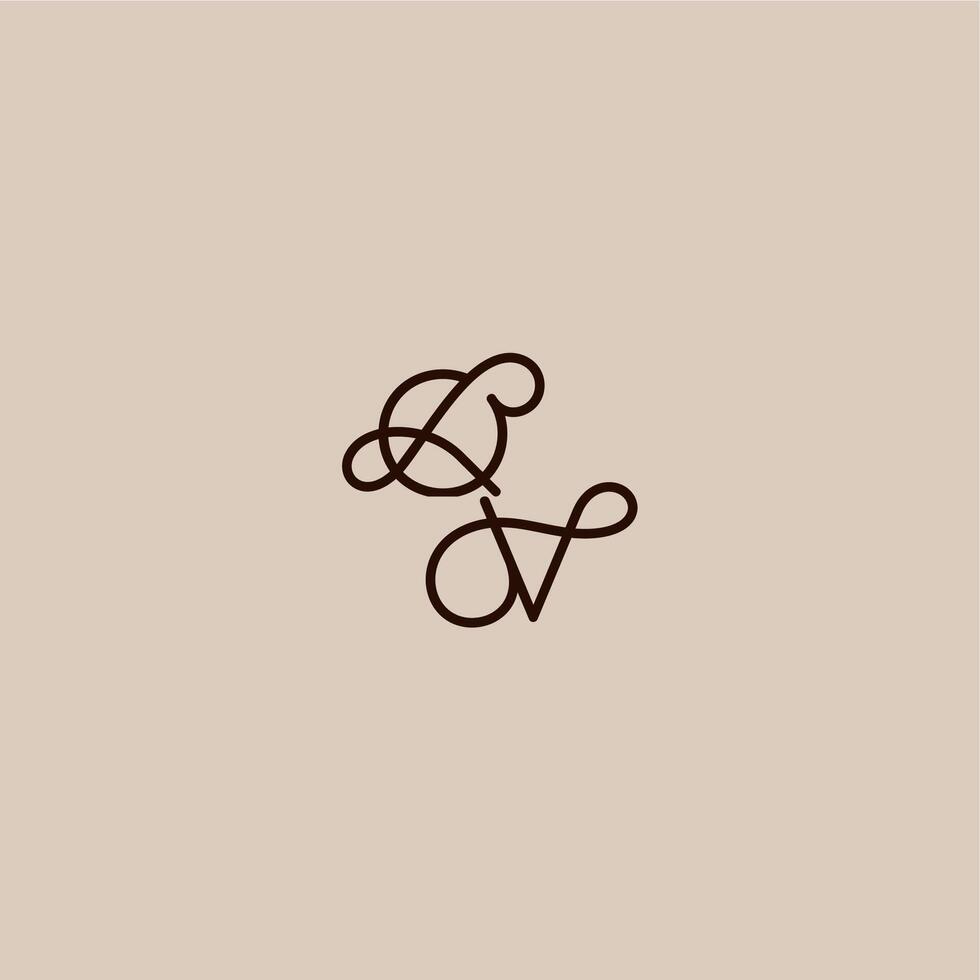 wedding typography monogram luxurious organic style and elegant concept QV dynamic line initial letter vector