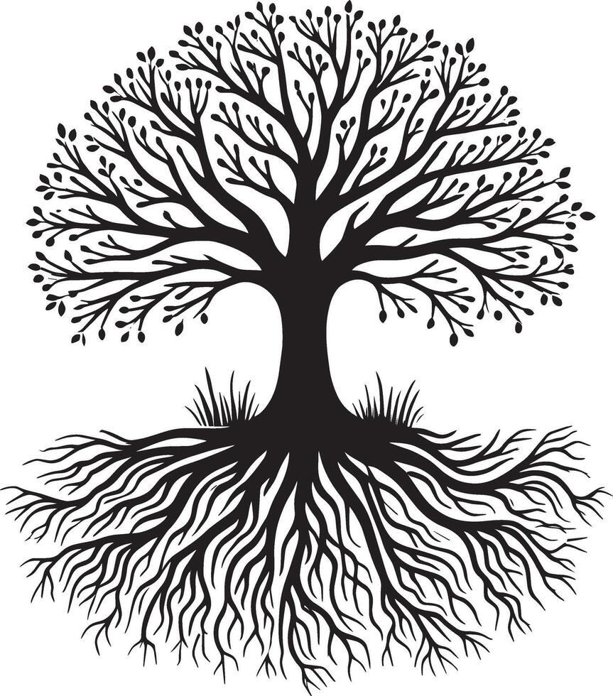 Iconic tree with roots shape shadow against a white backdrop vector