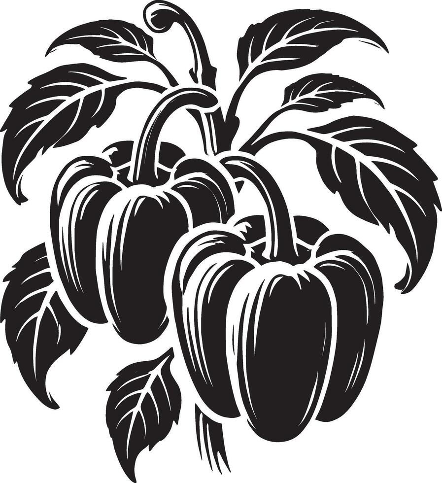 Artistic capsicum shadow illustration on a white canvas vector