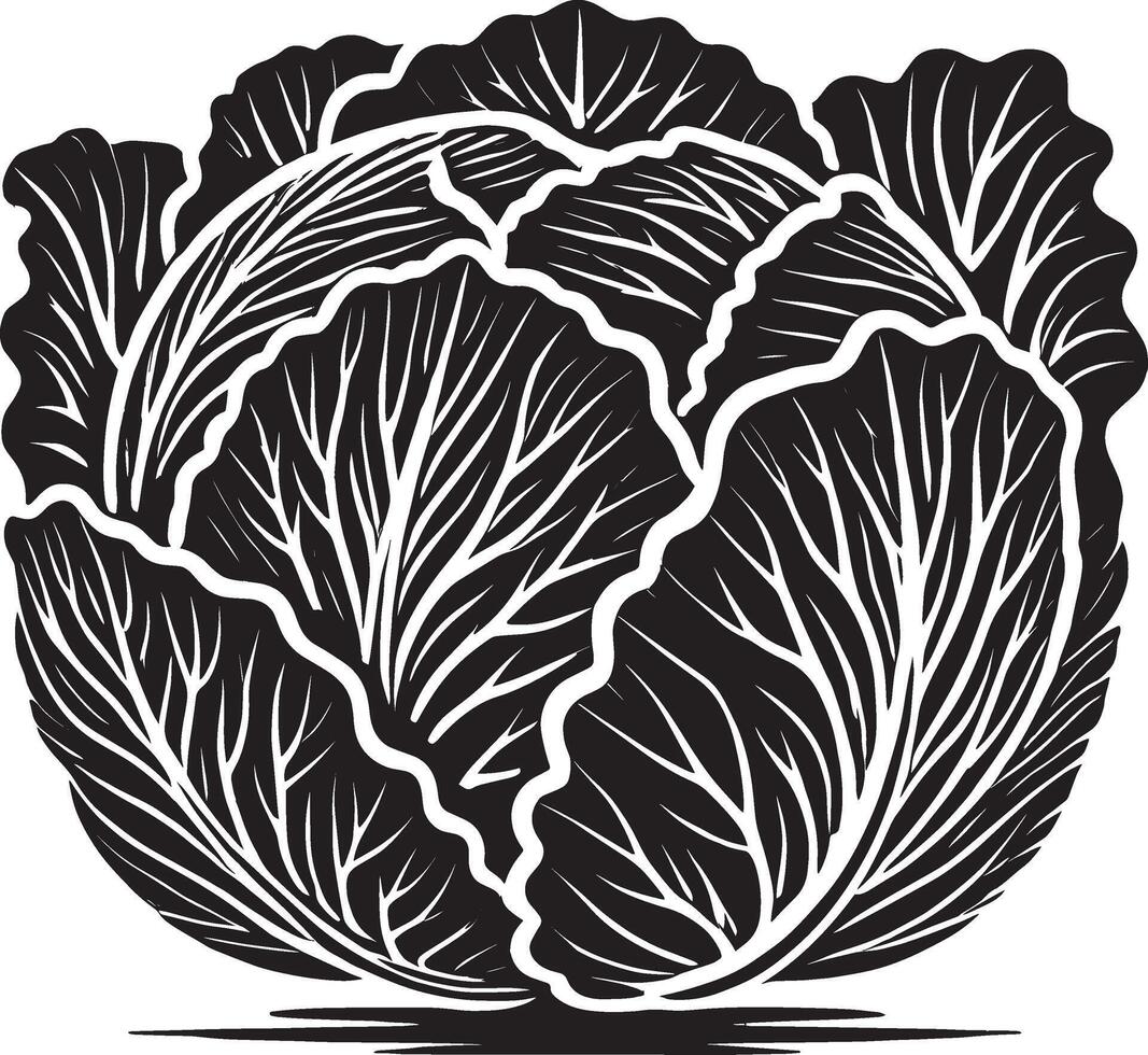 Farm-fresh cabbage shape design isolated on white vector