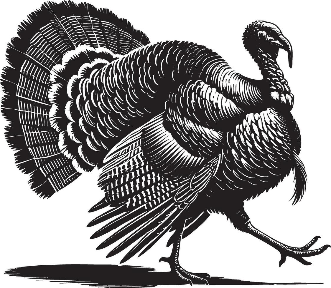 Refined turkey animal design on a pure white background vector