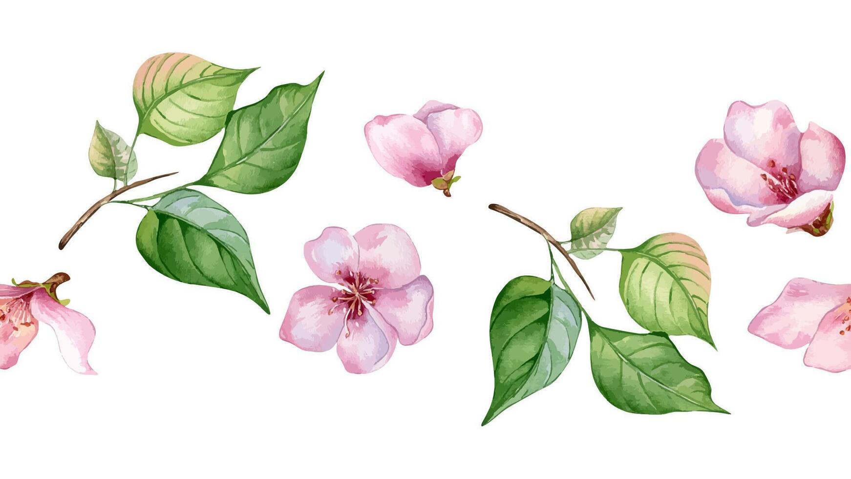 Watercolor seamless banner with pink flowers of apricot tree isolated on white. Floral board with blossom fruit branch hand drawn. Element for wedding invitation, card, packaging, label product. vector