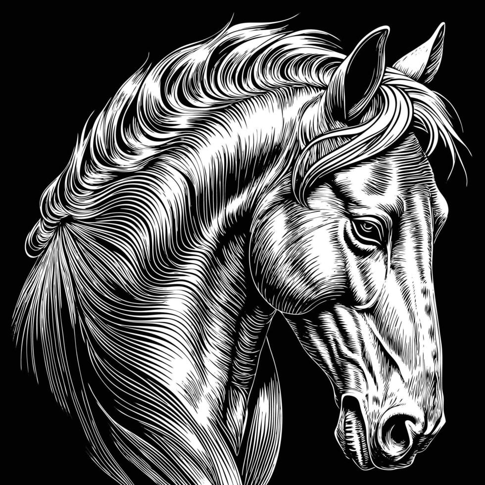 designs a horse head in a black and white drawing vector