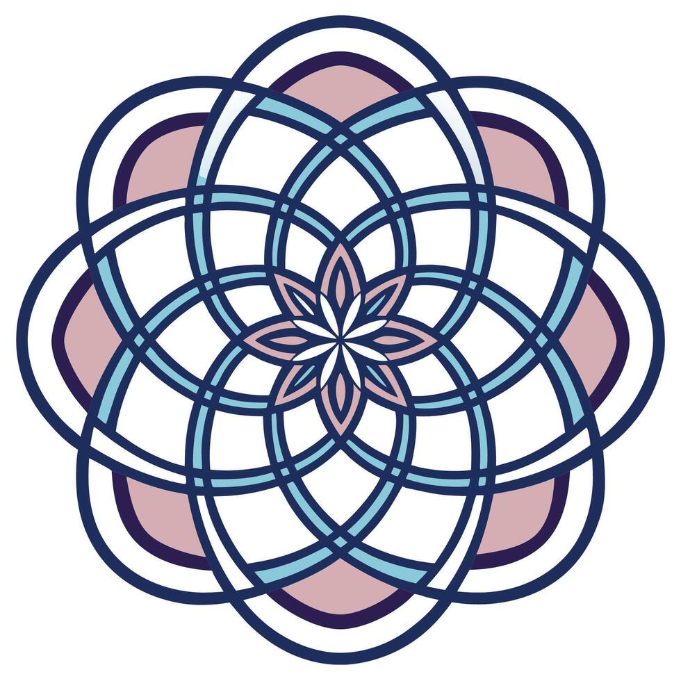 a flower design with a circular shape vector