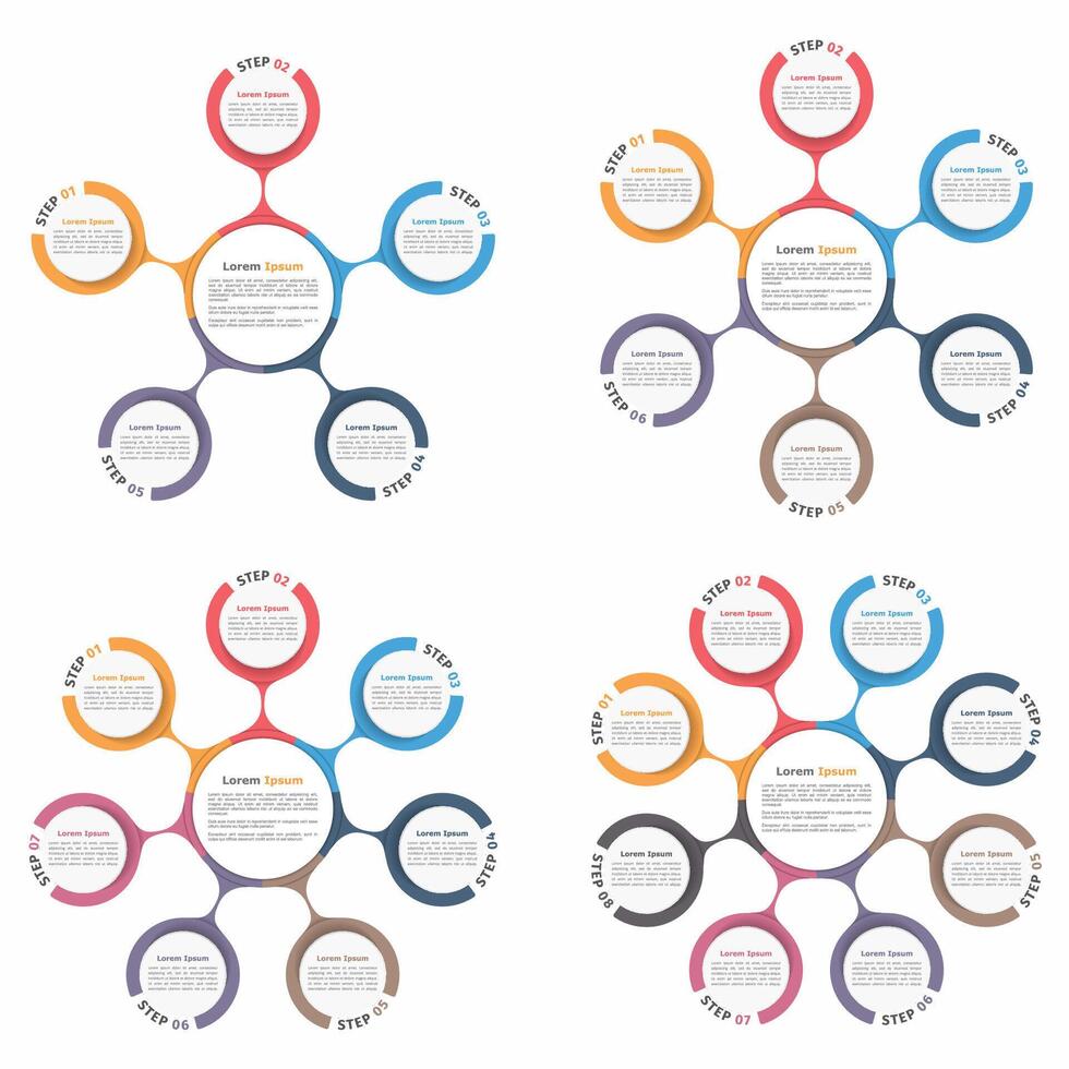 Circle diagram with five, six, seven and eight elements, steps or options, flowchart or workflow diagram template vector
