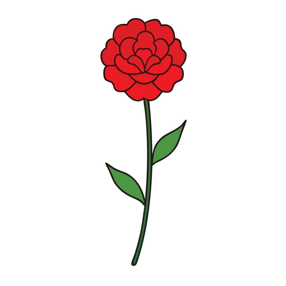 Classic Carnation Flower Design for Home and Lifestyle Products vector