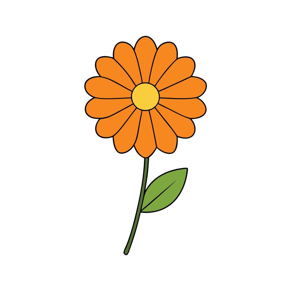 Bright Calendula Flower Design for Nature-Inspired Decor vector