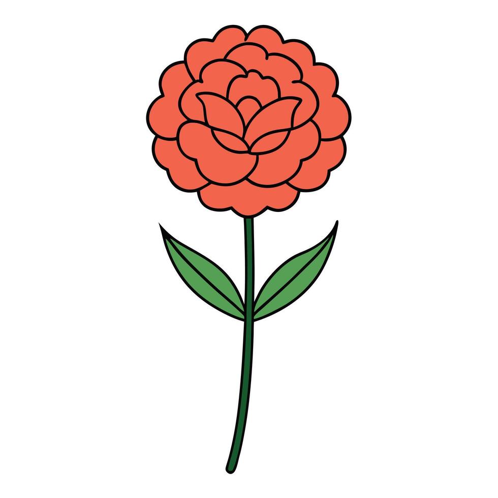 Bright Carnation Flower Design for Garden-Inspired Projects vector
