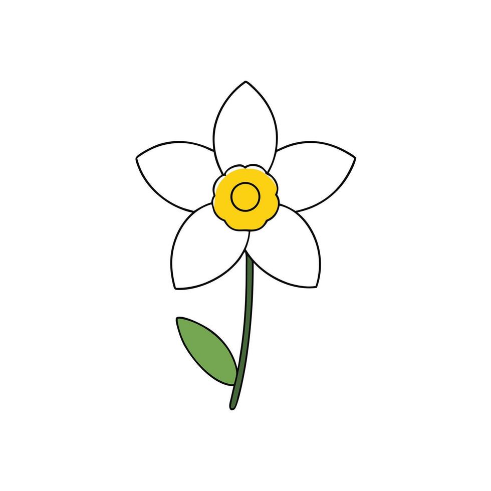 Classic Daffodil Design for Digital and Print Materials vector