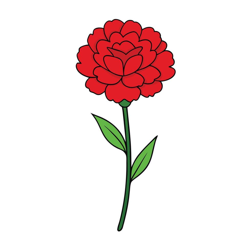 Beautiful Carnation Flower Design for Seasonal Decor vector