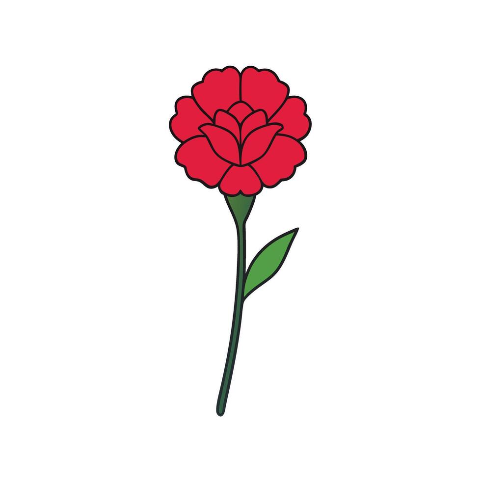 Romantic Carnation Flower Design for Love and Celebration Themes vector